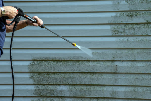 Best Gutter Cleaning  in Warrior, AL